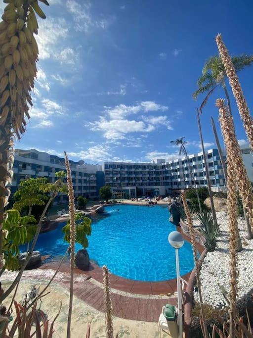 Apartamento Golf Del Sur Сан Мигель Экстерьер фото